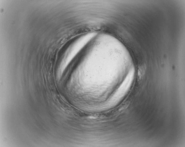 X0000052650867200507221839