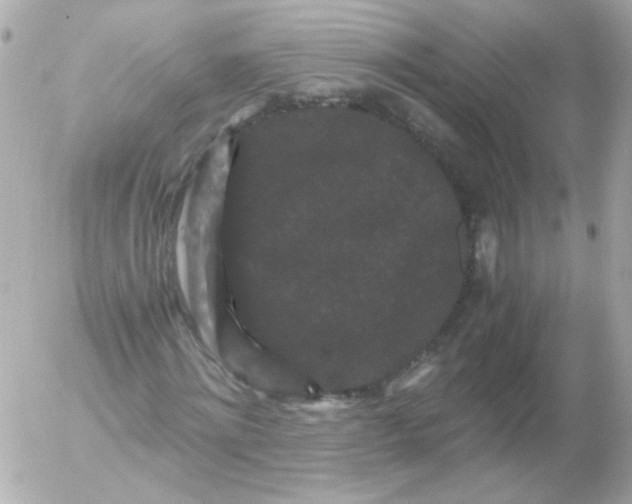 X0000052650868200507221839