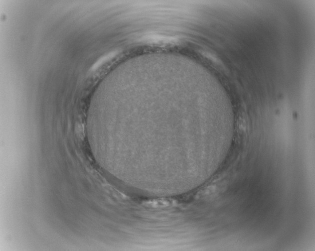 X0000052650869200507221839