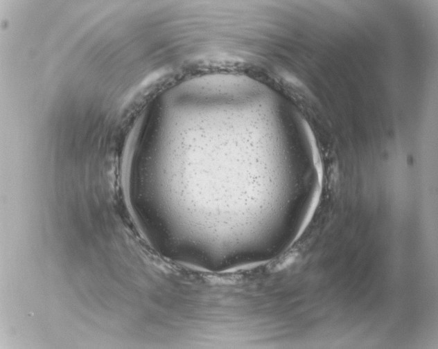 X0000052650870200507221839