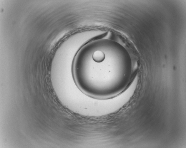 X0000052650871200507221839