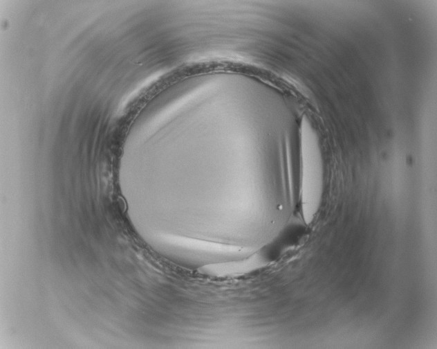 X0000052650872200507221839