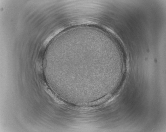 X0000052650873200507221839