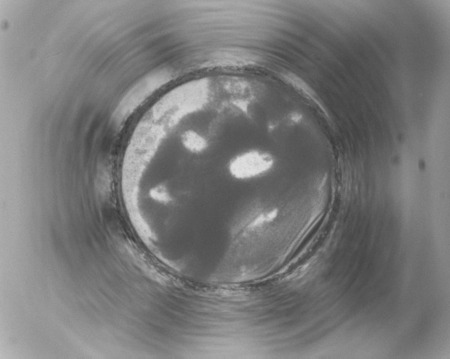 X0000052650874200507221839