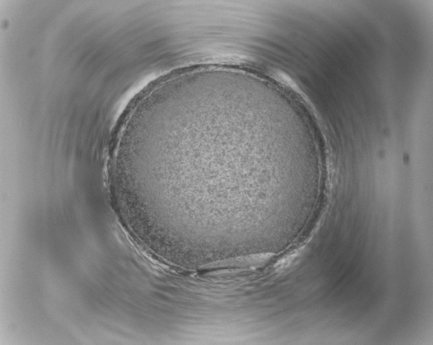 X0000052650875200507221839