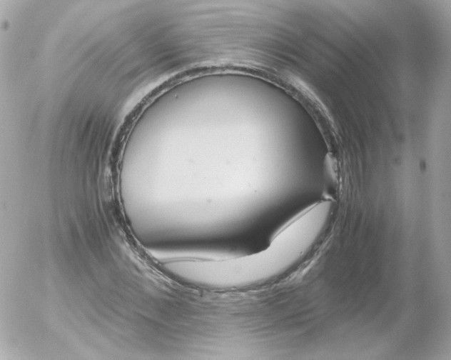 X0000052650876200507221839