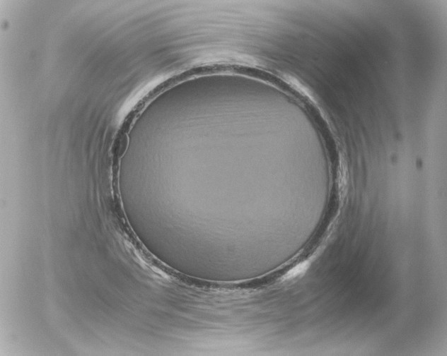 X0000052650877200507221839