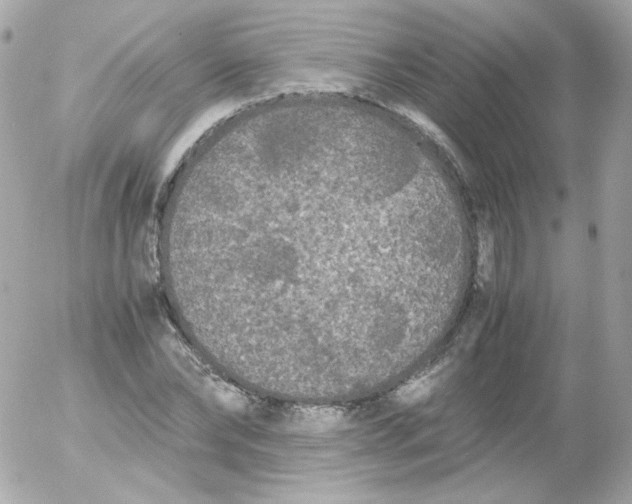 X0000052650878200507221839