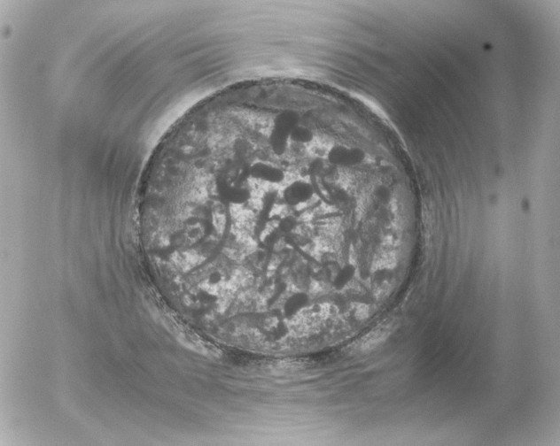 X0000052650879200507221839