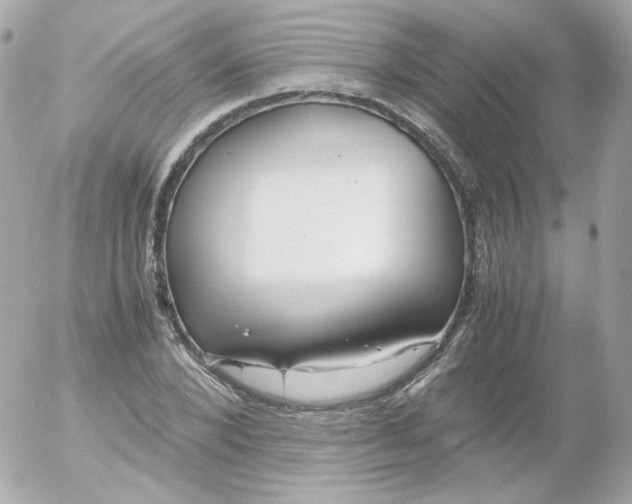 X0000052650880200507221839