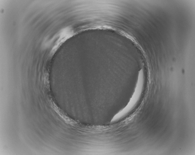 X0000052650881200507221839