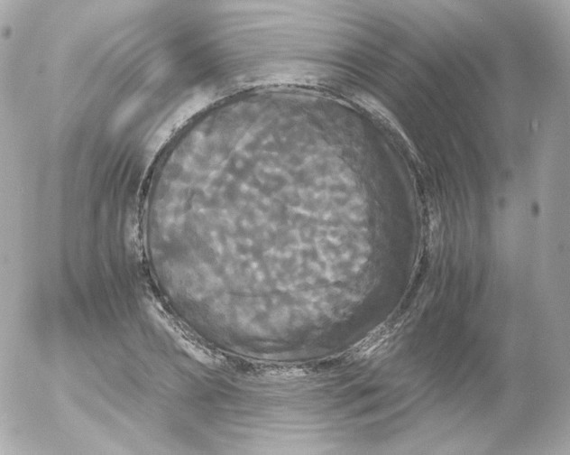 X0000052650882200507221839