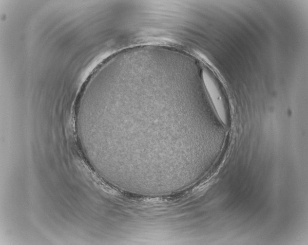 X0000052650883200507221839