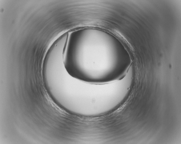 X0000052650884200507221839