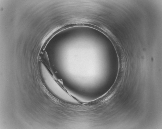 X0000052650885200507221839