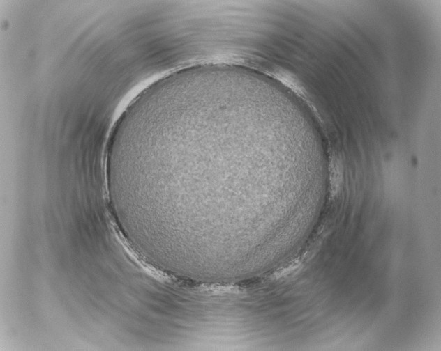 X0000052650886200507221839