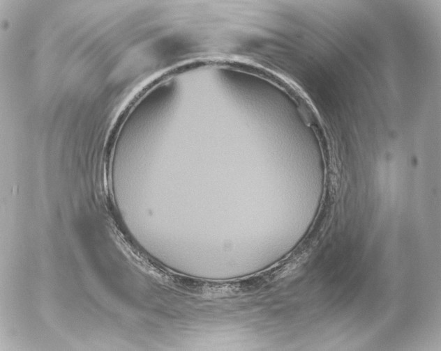 X0000052650887200507221839