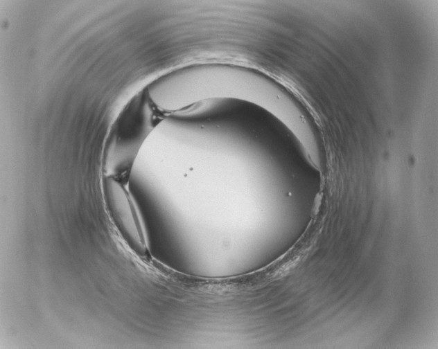 X0000052650888200507221839