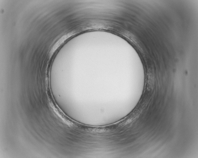 X0000052650890200507221838