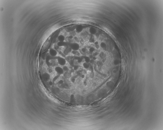 X0000052650891200507221838