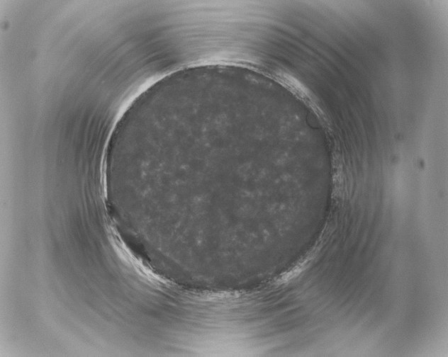 X0000052650892200507221838