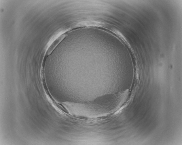 X0000052650893200507221838