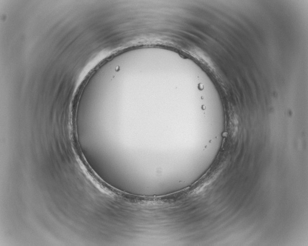 X0000052650894200507221838