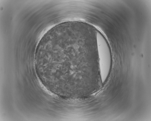 X0000052650895200507221838