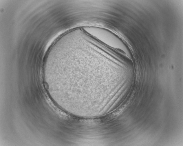 X0000052650896200507221838