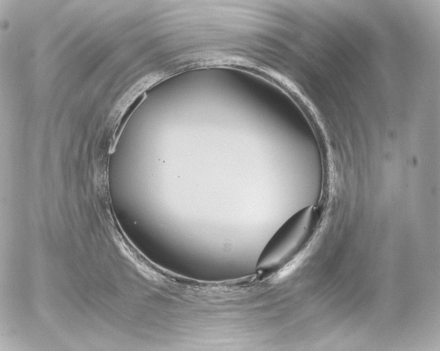 X0000052650897200507221838