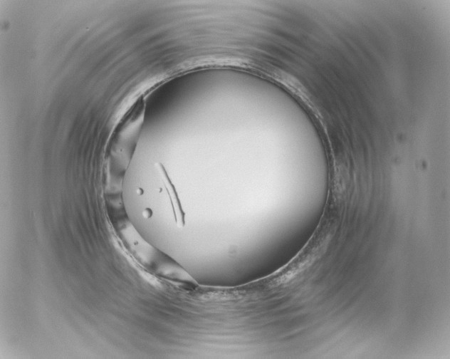 X0000052650898200507221838