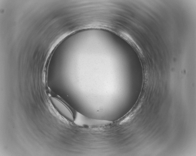 X0000052650900200507221838