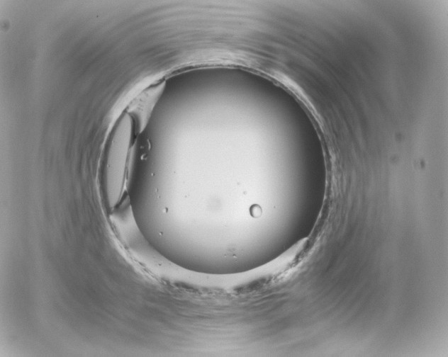 X0000052650901200507221838