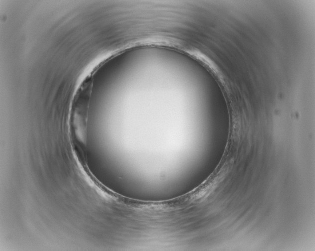 X0000052650902200507221838