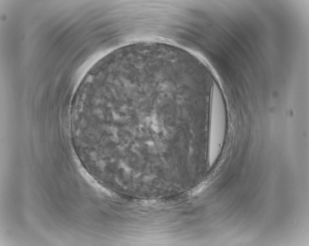 X0000052650903200507221838