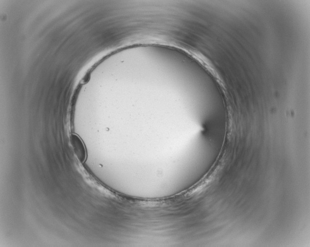 X0000052650904200507221838