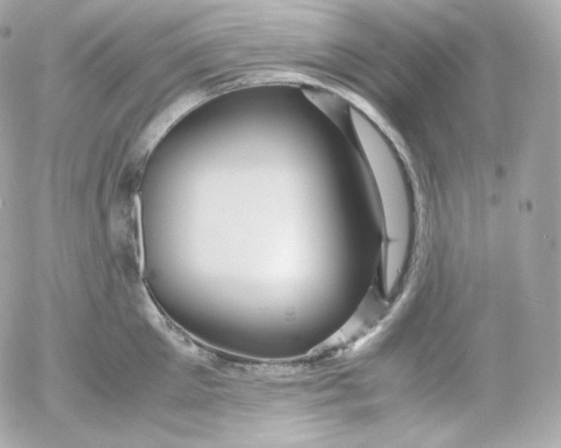 X0000052650905200507221838