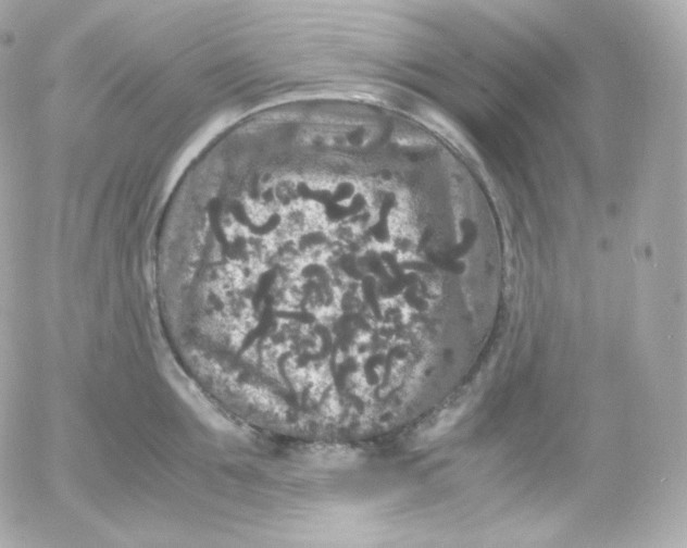 X0000052650907200507221838