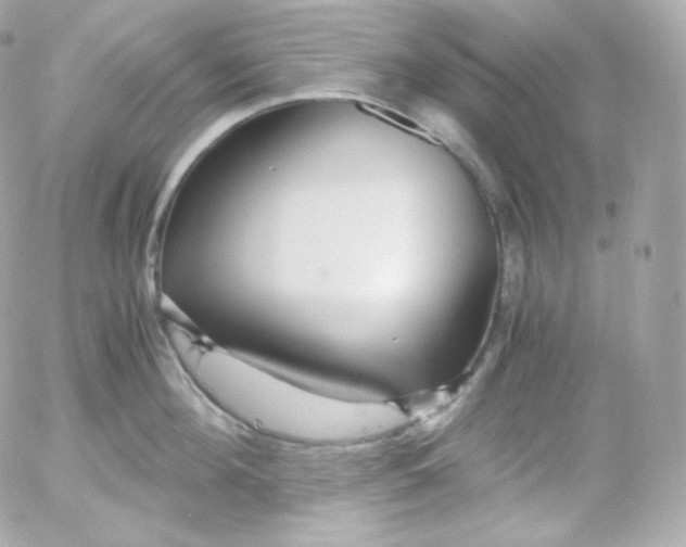 X0000052650908200507221838