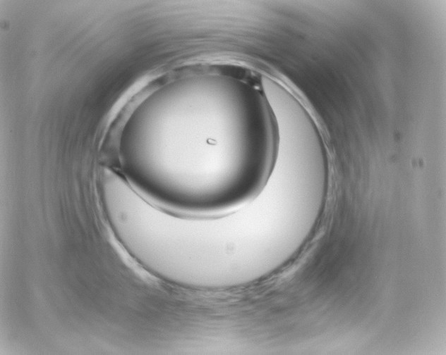 X0000052650909200507221838