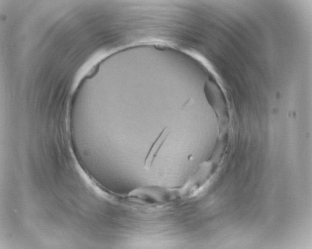 X0000052650910200507221838