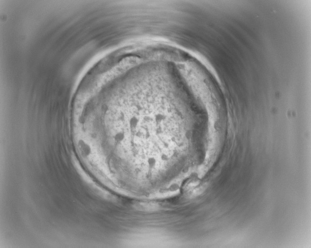 X0000052650911200507221838