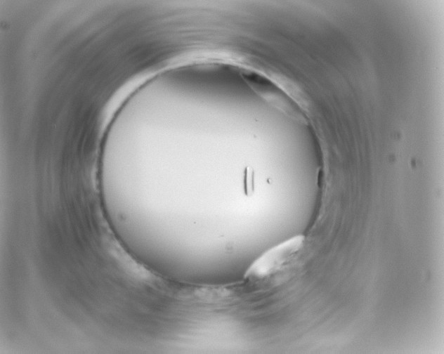 X0000052650912200507221838