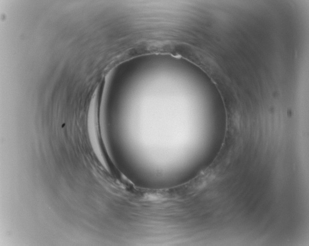 X0000052650914200507221837