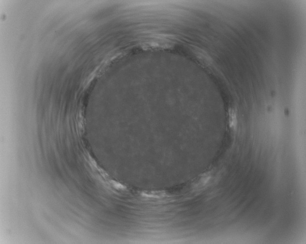 X0000052650915200507221837