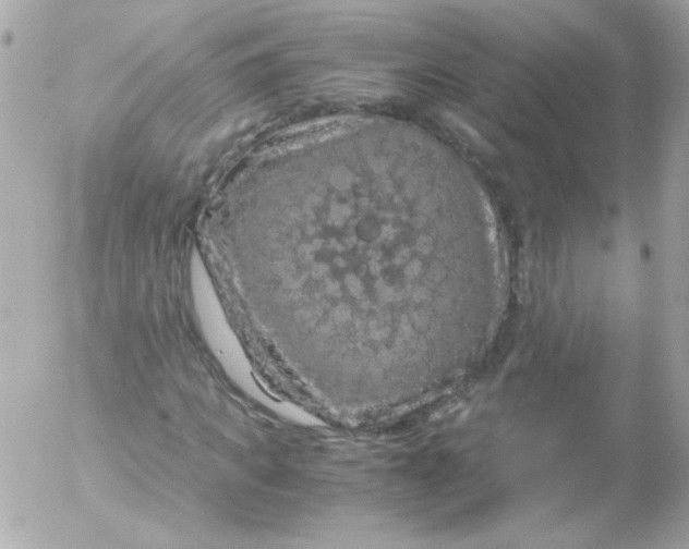 X0000052650917200507221837