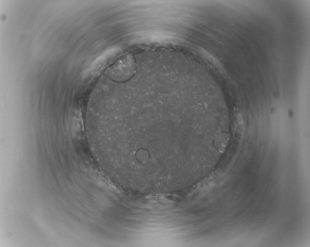 X0000052650918200507221837