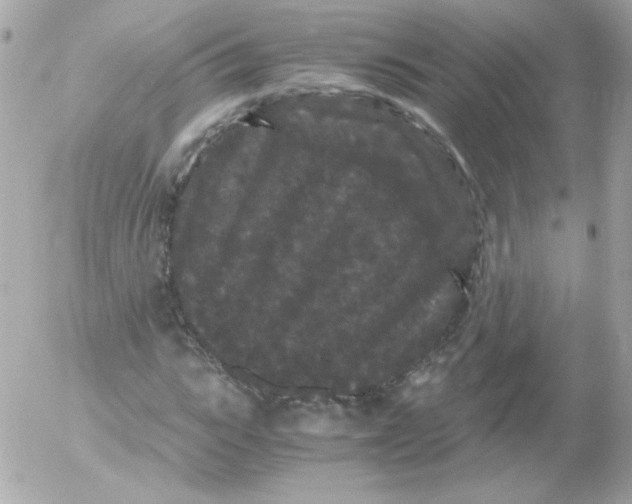 X0000052650919200507221837