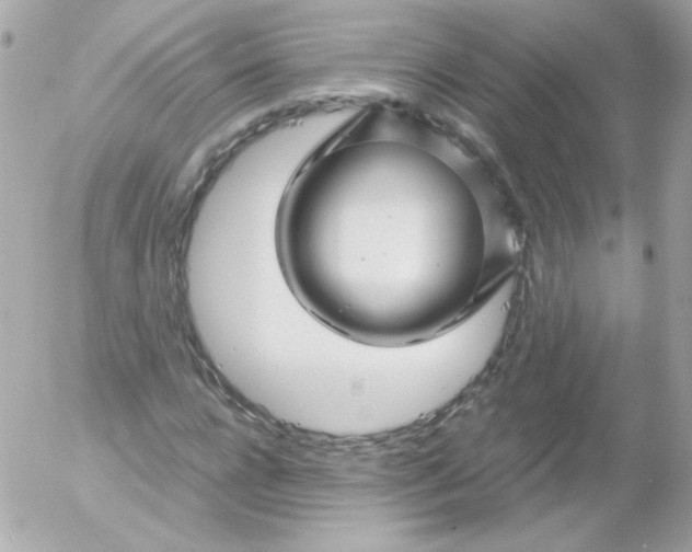 X0000052650920200507221837