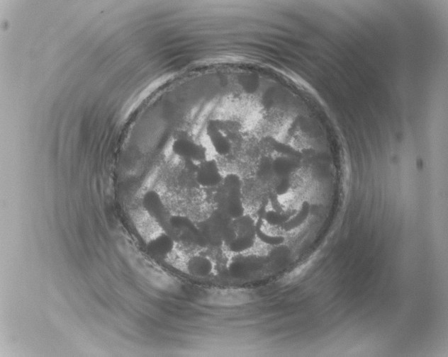 X0000052650921200507221837